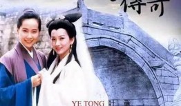 奇迹电视剧在线观看,穿越时空的救赎之旅